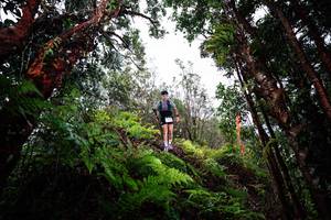 BIB: 
                            <button type="button" onclick="openModal(26204873)" class="btn btn-primary btn-sm float-right btn-popup" data-toggle="modal" data-target=".modal-high-quality">
                        <i class="fas fa-shopping-cart"></i> Add to Cart
                    </button>
                                            <button type="button" onclick="isThisMe(26204873, true)" class="btn btn-success btn-sm float-right btn-popup btn-isme hidden" data-toggle="tooltip" data-placement="bottom" title="นี่คือรูปของคุณใช่ไหม คลิกที่นี่เพื่อเอาเข้าอัลบั้ม">
                        <i class="fas fa-plus"></i> Add to album
                    </button>
                    <button type="button" onclick="isThisMe(26204873, false)" class="btn btn-warning btn-sm float-right btn-popup btn-isnotme hidden">
                        <i class="fas fa-ban"></i> Remove from album
                    </button>